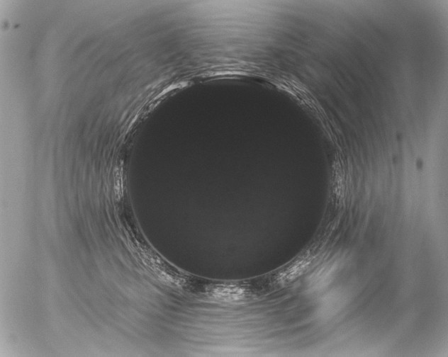 X0000056350471200508261316