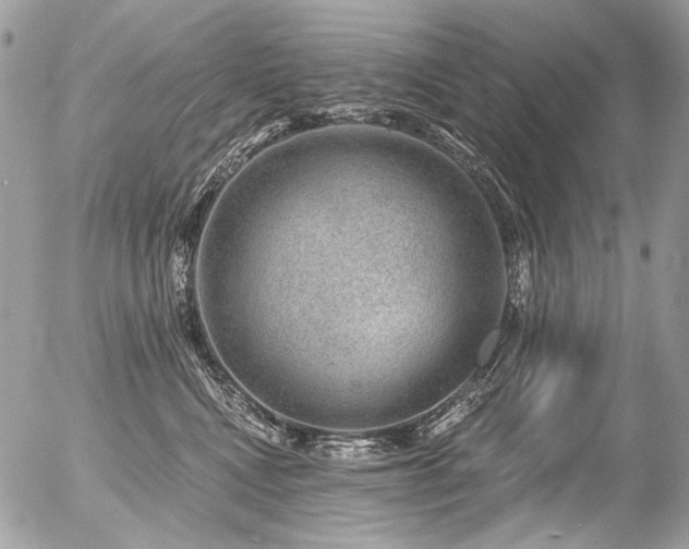 X0000056350472200508261316