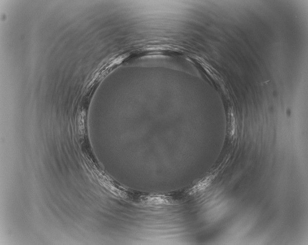 X0000056350475200508261316