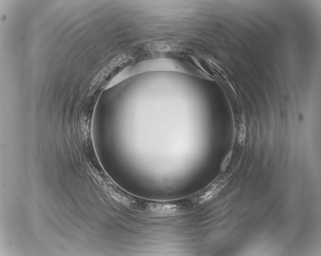 X0000056350476200508261316