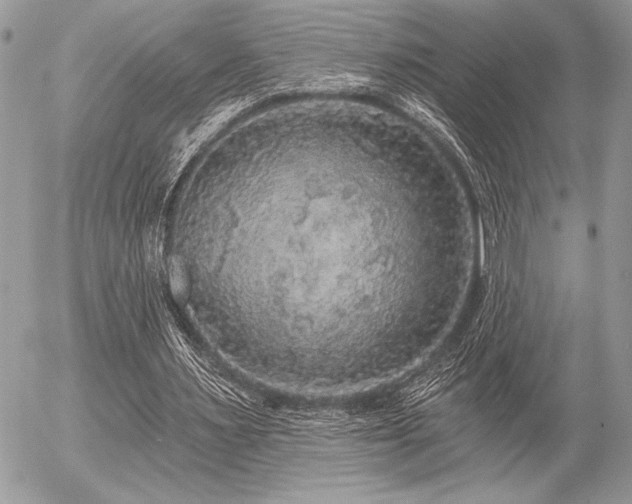 X0000056350483200508261315