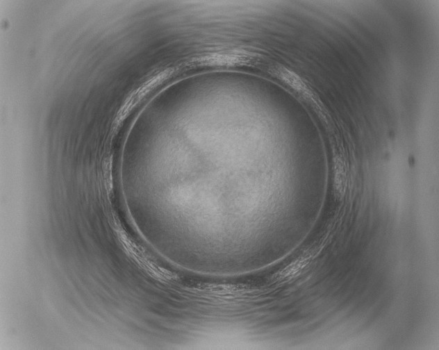 X0000056350486200508261315