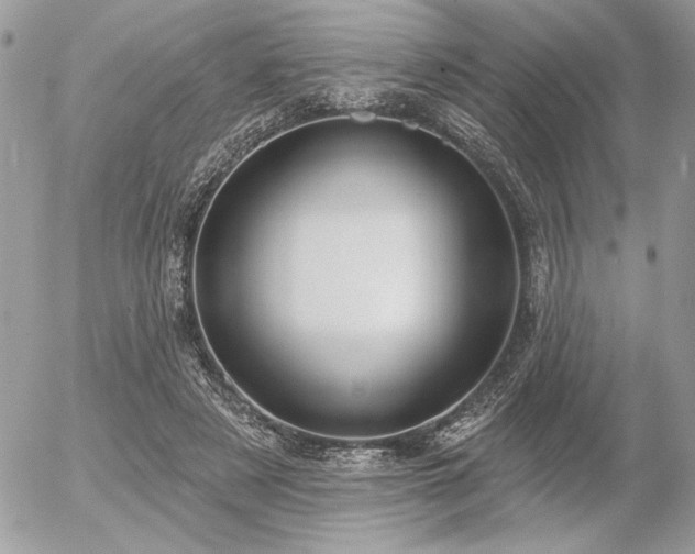 X0000056350497200508261315