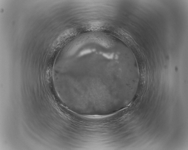 X0000056350503200508261315