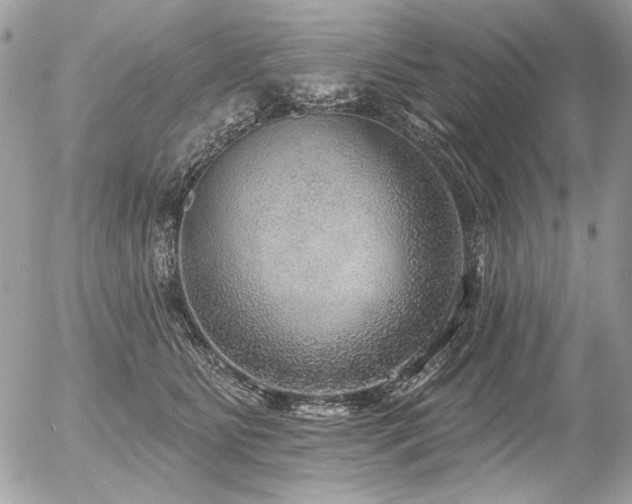 X0000056350515200508261315