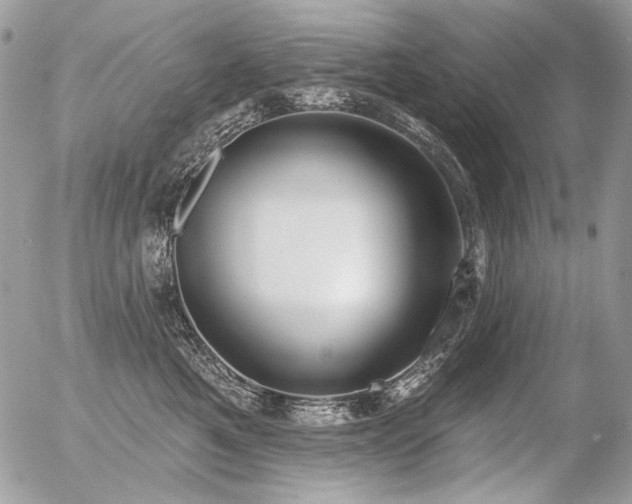 X0000056350521200508261315