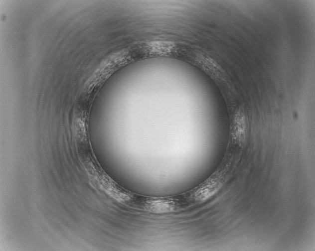 X0000056350522200508261315