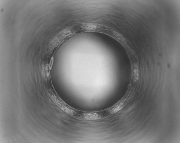 X0000056350525200508261315
