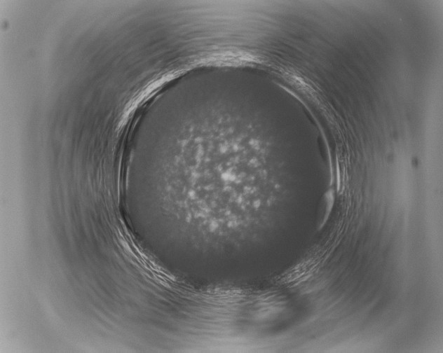 X0000056350531200508261314