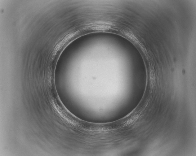 X0000056350533200508261314