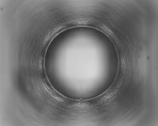 X0000056350537200508261314