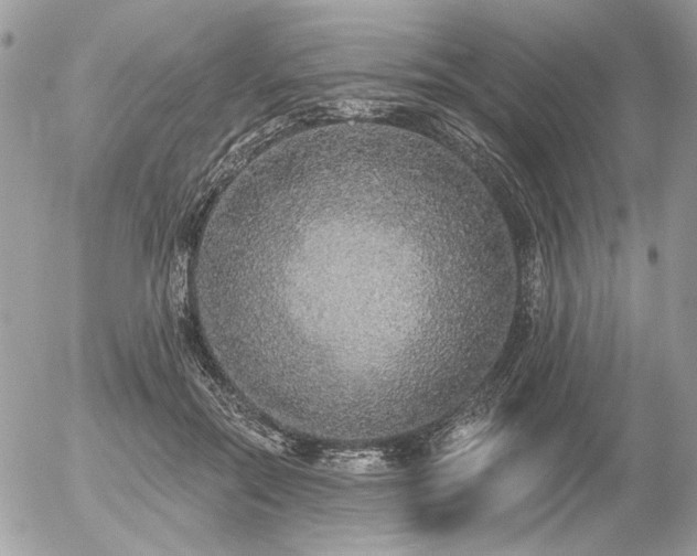 X0000056350554200508261314