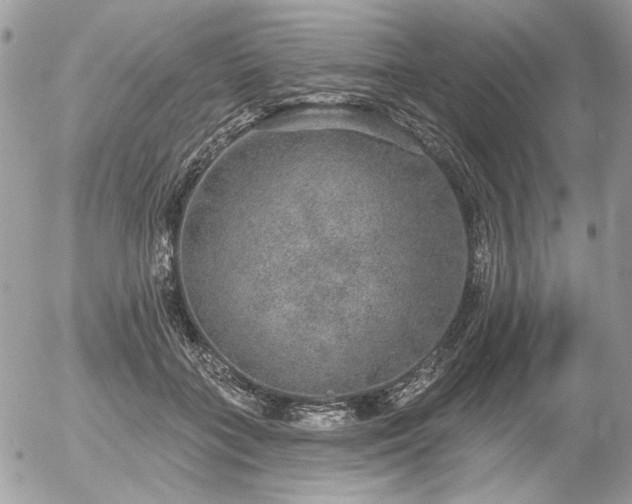 X0000056350555200508261314