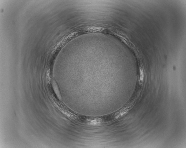 X0000056350564200508261314