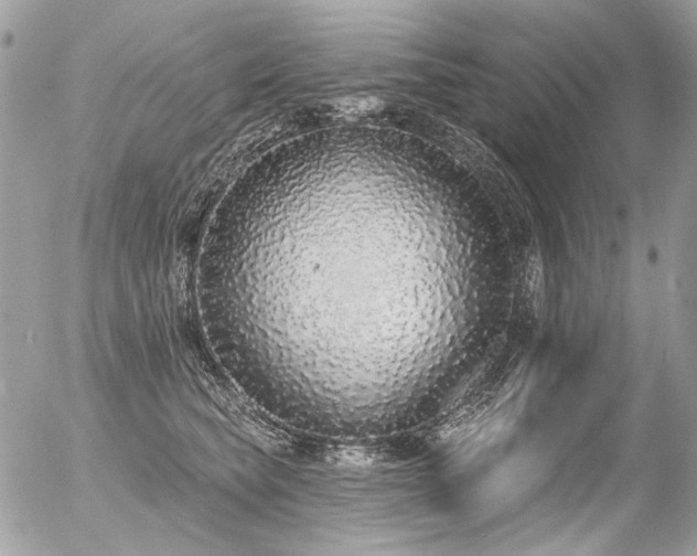 X0000056350565200508261314