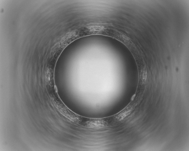 X0000056350567200508261314