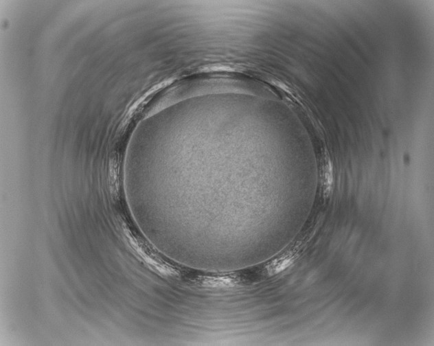 X0000056350572200508261314