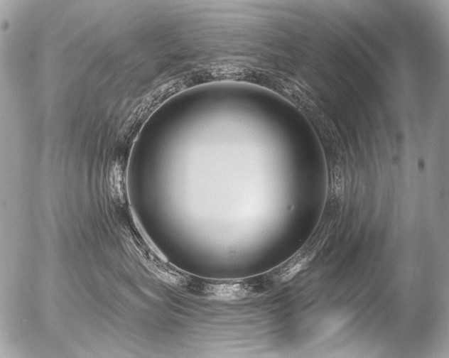 X0000056350575200508261315