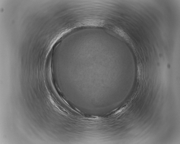 X0000056350580200508261314