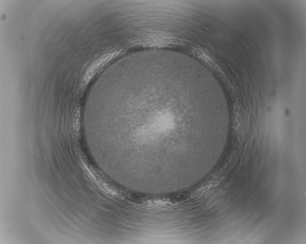 X0000056350586200508261314