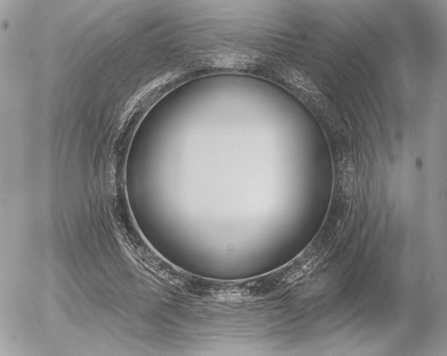 X0000056350587200508261314