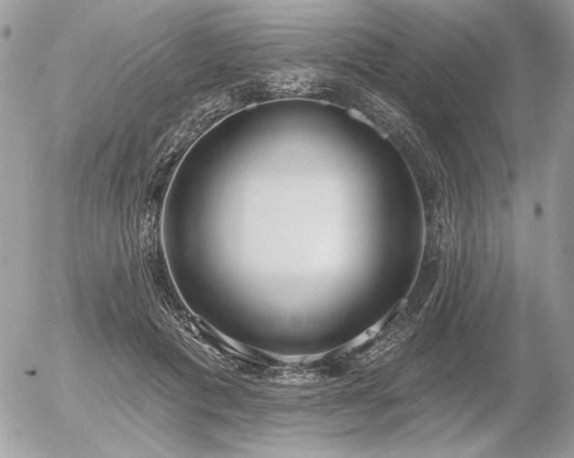 X0000056350601200508261313