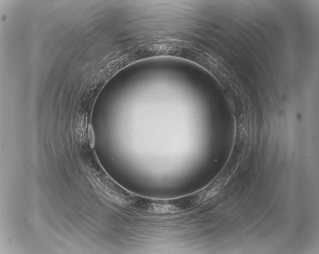 X0000056350605200508261313