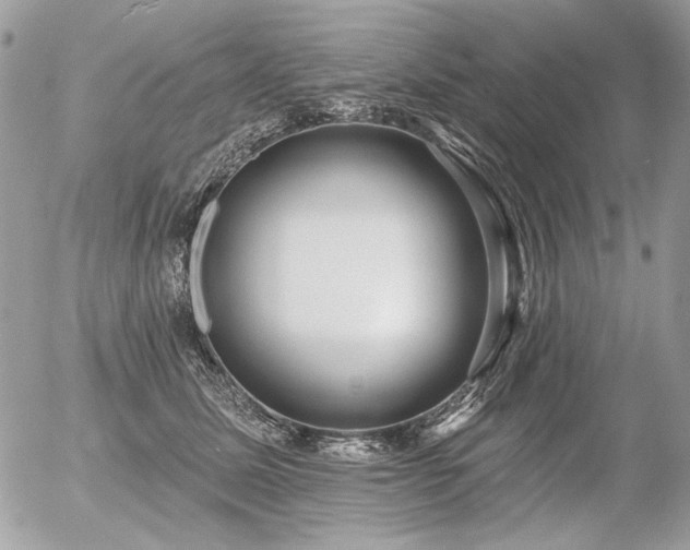 X0000056350611200508261313