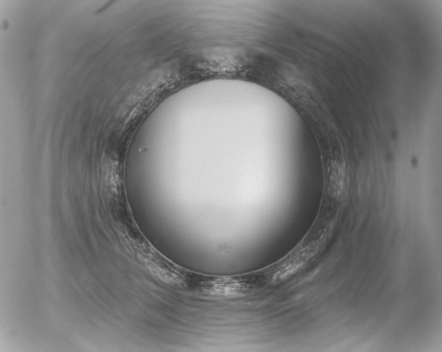 X0000056350612200508261313
