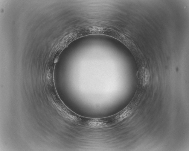 X0000056350614200508261313