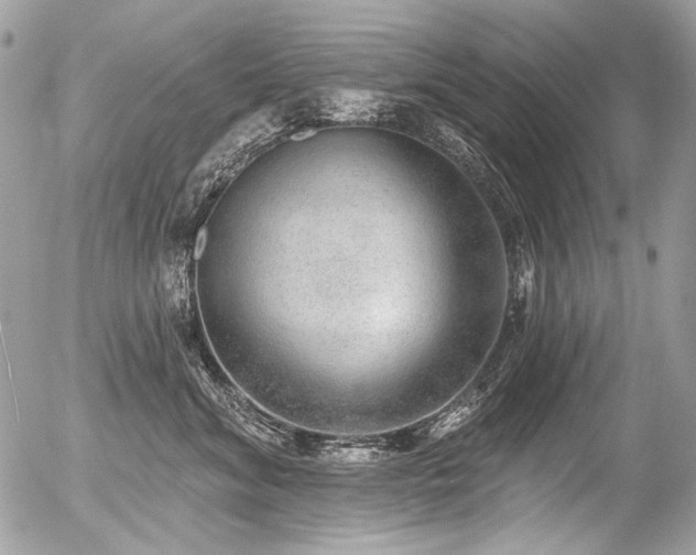X0000056350620200508261313