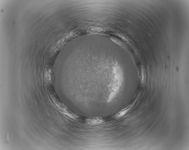 X0000056350621200508261313