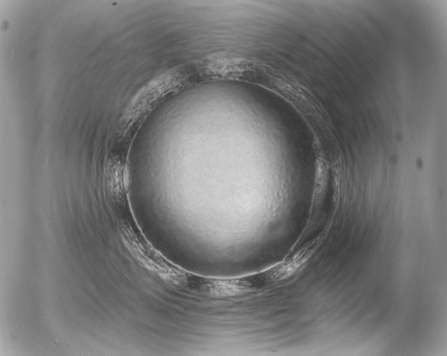 X0000056350623200508261313