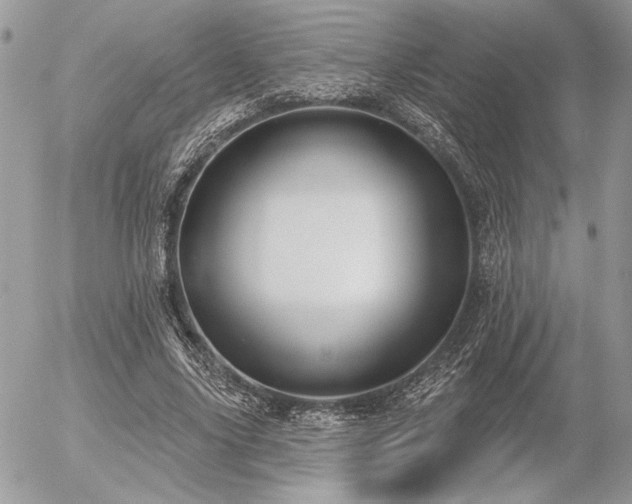 X0000056350635200508261312