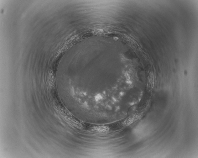 X0000056350659200508261313