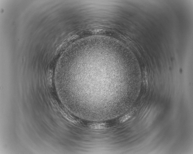 X0000056350664200508261313