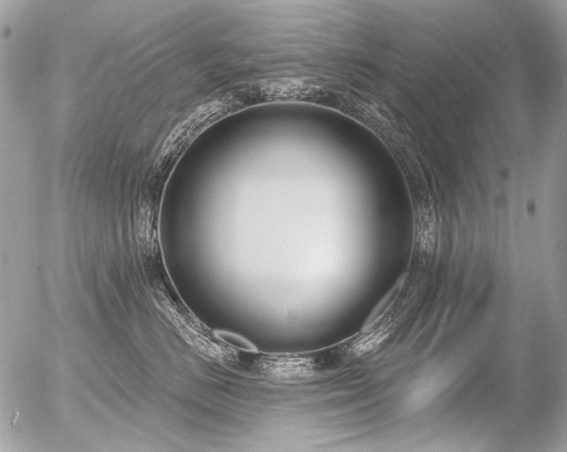 X0000056350670200508261313