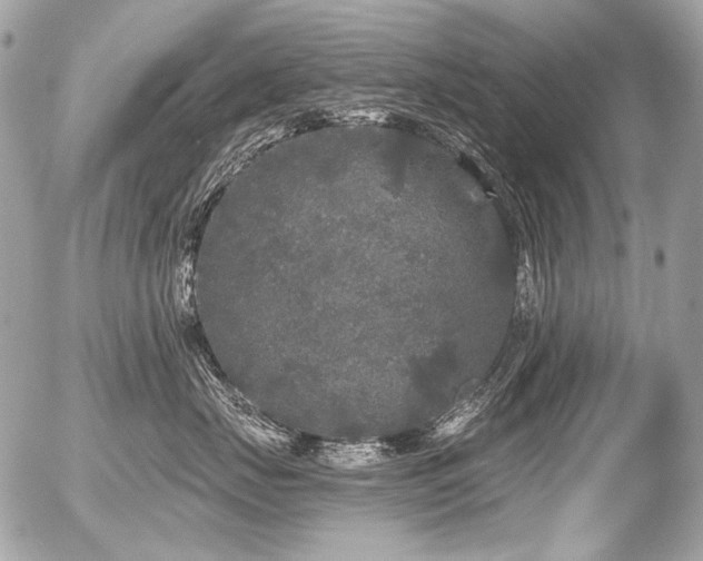 X0000056350671200508261313