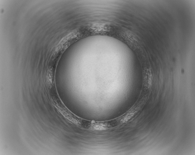 X0000056350710200508261312