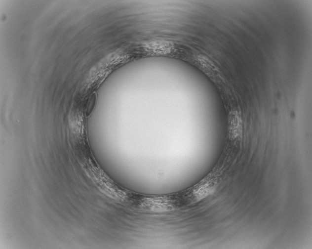 X0000056350713200508261311