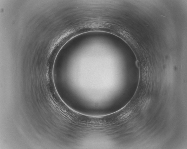 X0000056350727200508261311