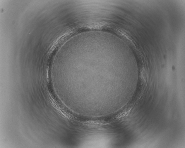 X0000056350733200508261311