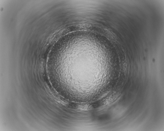 X0000056350757200508261311