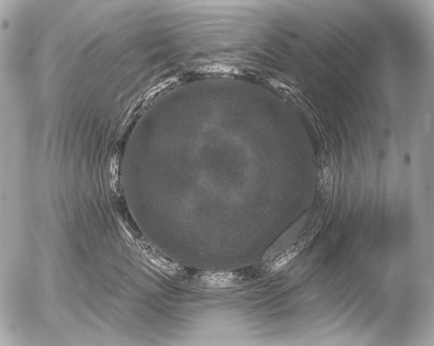 X0000056350767200508261311