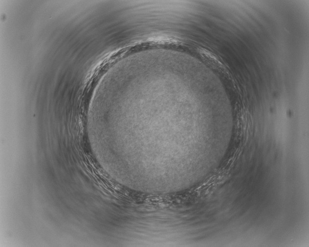 X0000056350776200508261310
