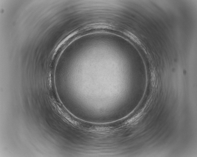 X0000056350782200508261310
