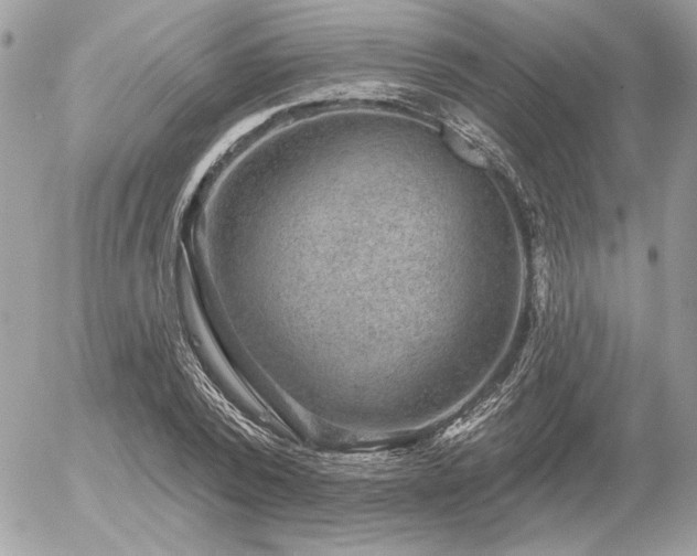 X0000056350784200508261310