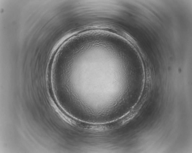 X0000056350803200508261310