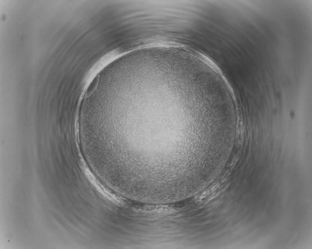 X0000056350811200508261310