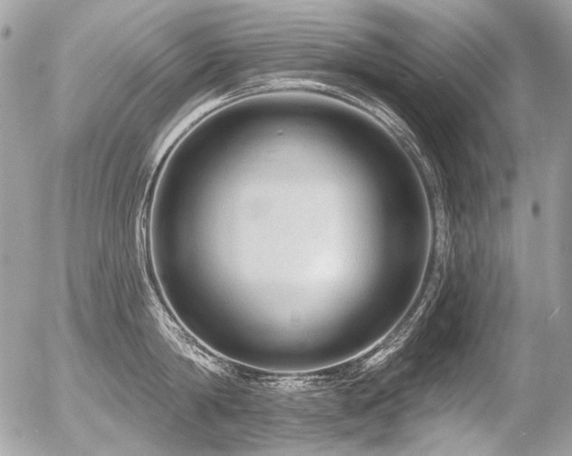 X0000056350814200508261310